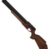 PCP Air Rifle ZBROIA Hortitsia 450/230