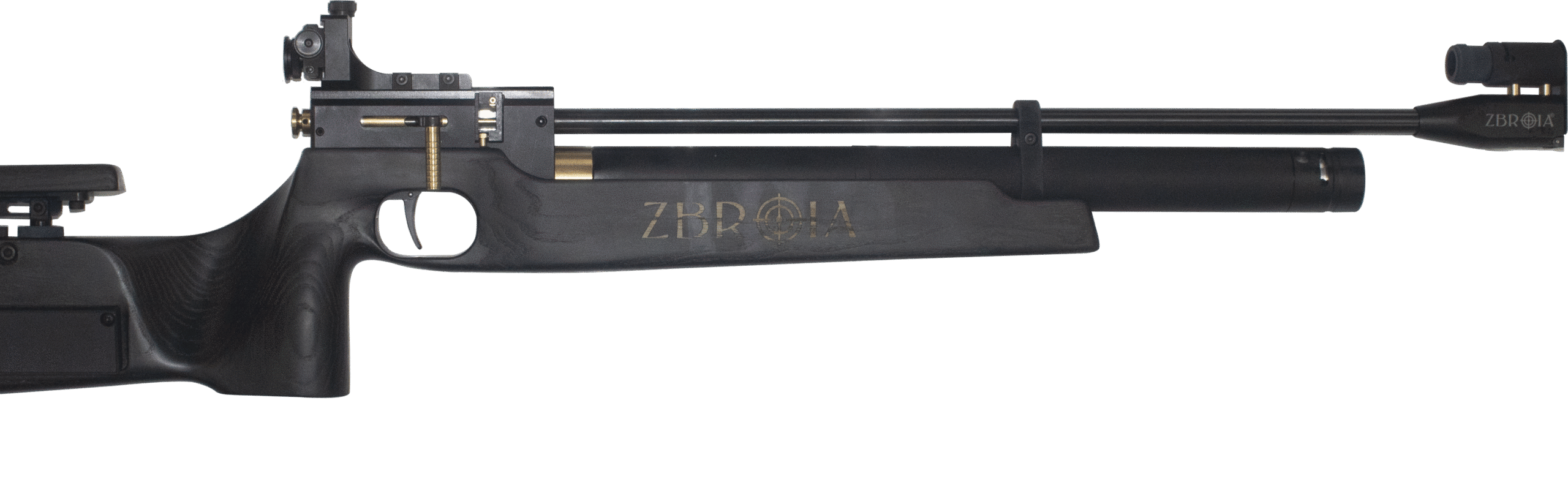 air rifle ZBROIA Biathlon 550/200